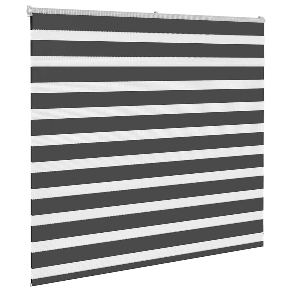 Tenda a rullo zebrata, 165 x 100 cm, in poliestere | Montaggio a parete o finestra, controllo della luce regolabile, facile da pulire, design moderno
