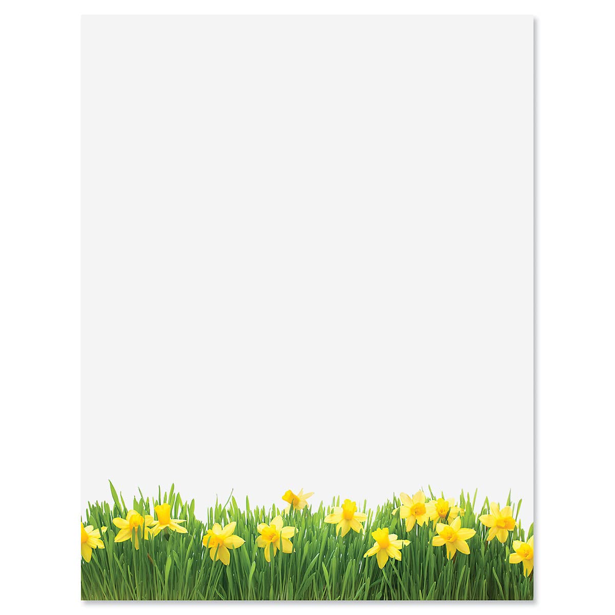 Current Daffodil Floral Letter Paper - Spring Stationery Papers With Decorative Daffodil Border, Printable Holiday, Wedding & Bridal Shower, &