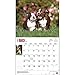 For the Love of Boston Terriers 2016 Calendar