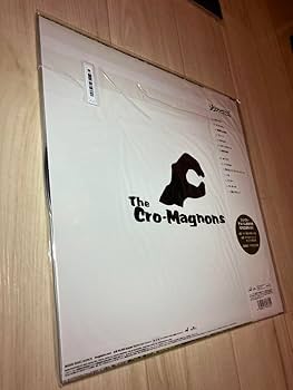 ザ・クロマニヨンズ　レコード　LP ザ・クロマニヨンズ「レインボーサンダー」：LPレコード | 音と