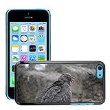 Facile da installare e rimuovere