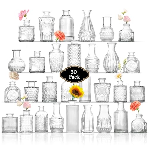 ROLLSCERAY Lot de 30 vases à bourgeons en verre transparent pour centres de table, petits vases pour fleurs, mini vase à fleurs vintage pour centres de table,...
