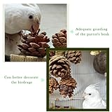 WACURRENTHYD Bird Toys with 8 Pine Cones - Natural Wooden Parrot Toys, 8 Inch Hangable Chewing Sticks Toys for Conures Parakeets Cockatoo African Grey Amazon Parrots - Image 4