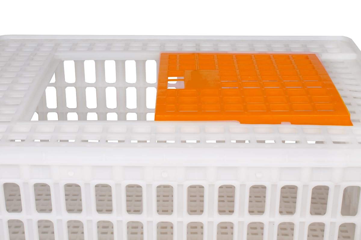 Beeketal 'GBB-1' Geflügel Transportbox mit Schiebetür und Transportgriffen - Transportkiste aus robustem Kunststoff zum Transport von Geflügel und Kleintieren - (L/B/H): ca. 730 x 540 x 320 mm