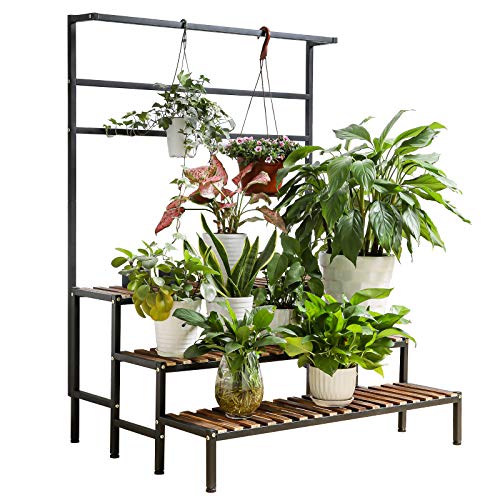 The 10 Best Hanging Plant Stands of 2021 Plant And Lights