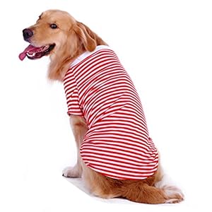 Dog Shirts for Large Dogsdog Striped Cotton Tshirt Breathable Stretchy Costumes Pet Pullover Clothesred White Stripexl Cucciolini Doodles Dog shirts for large dogsdog striped cotton t shirt breathable stretchy costumes pet pullover clothesred white stripexl cucciolini doodles