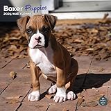 cuccioli boxer milano Grandi blocchi giorno: include tutte le principali festività con molto spazio per aggiungere appunti personali e appuntamenti.