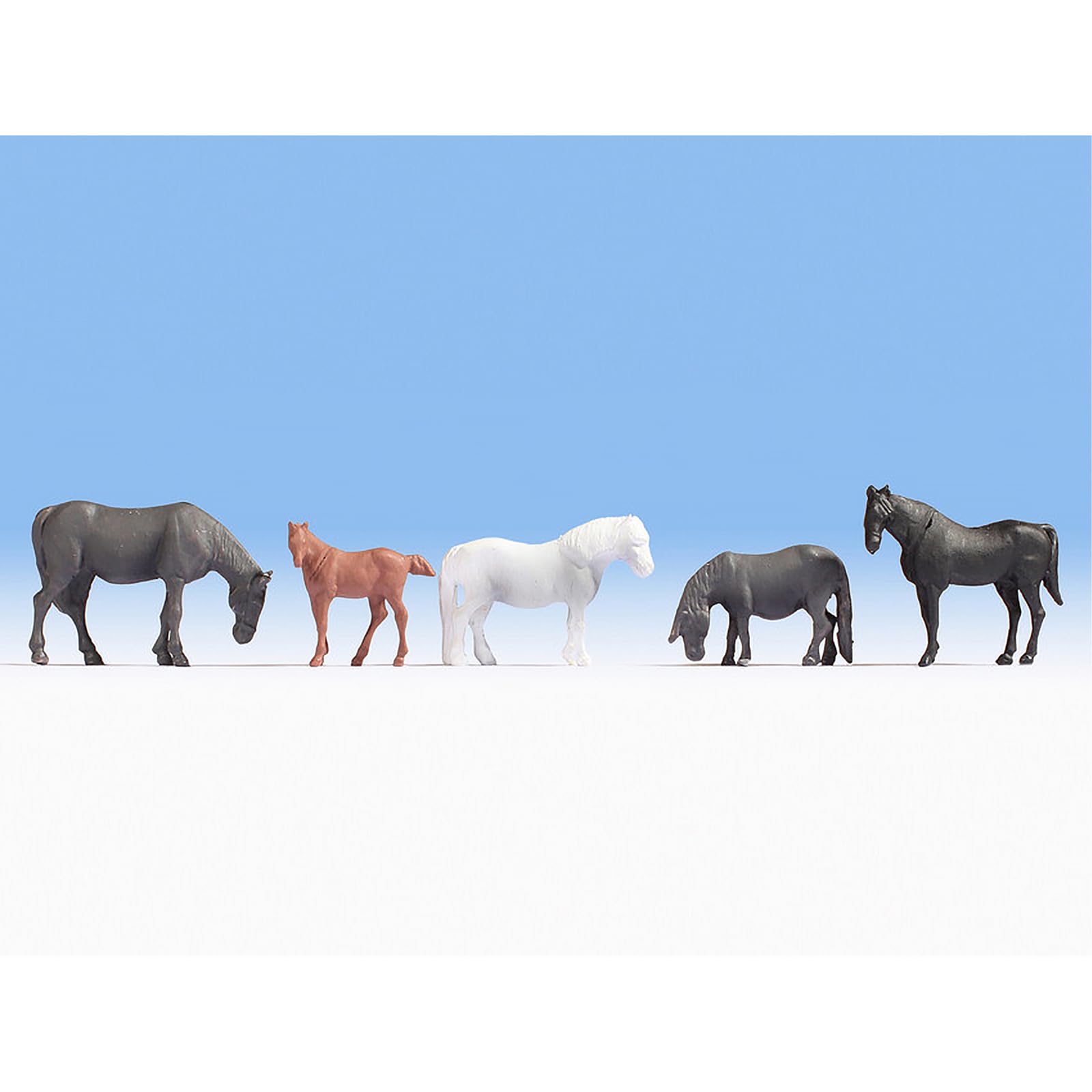 Noch Horses