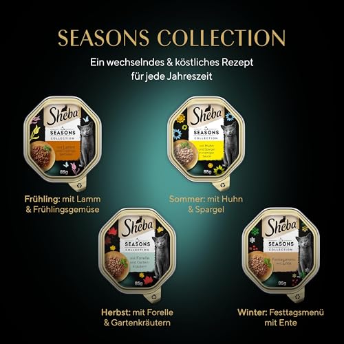 Sheba Schale Seasons Collection 2 x 11 x 85g