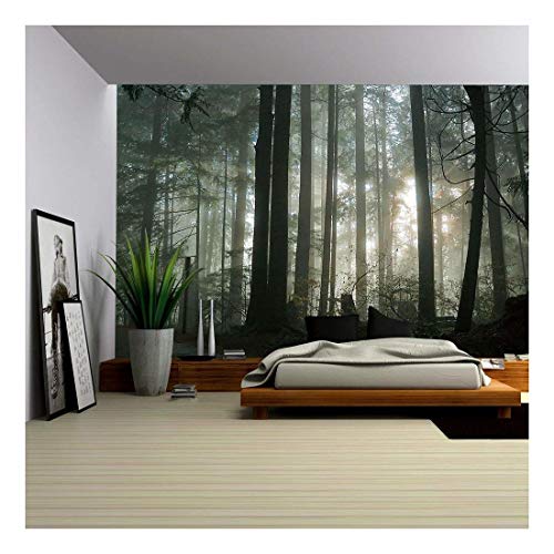 wall26 - Foggy Forest - Removable Wall Mural | Self-Adhesive Large Wallpaper