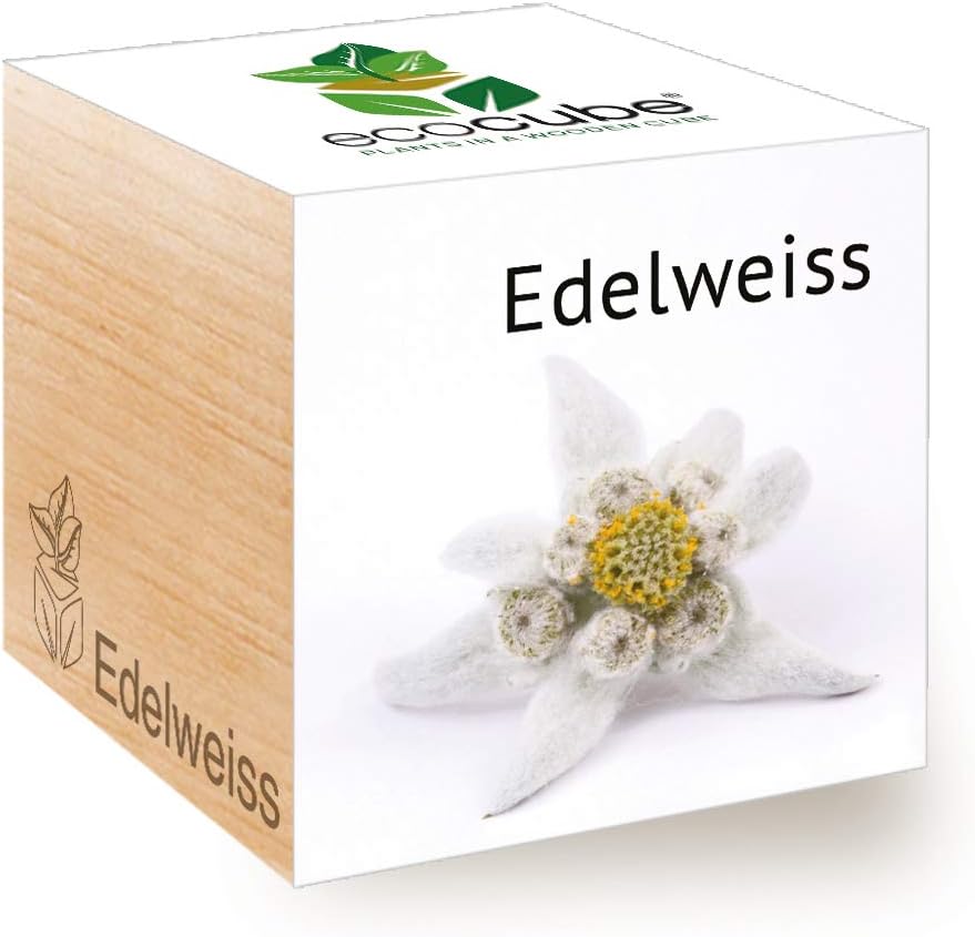 Feel Green Ecocube Edelweiss, Natural