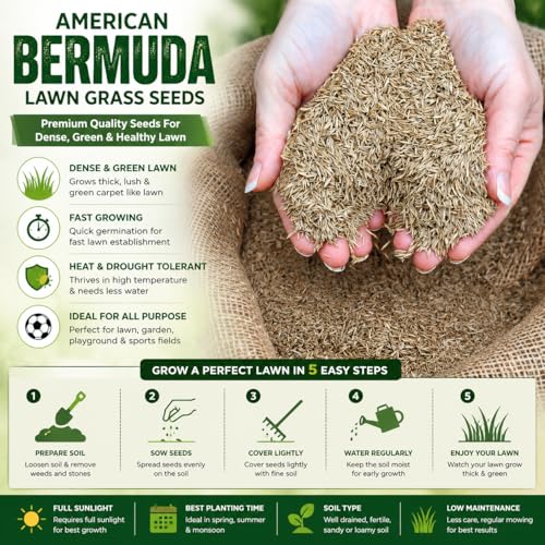 Image of American Bermuda Lawn Grass Seeds for Lawn, Turf, Cricket Ground, Stadium, Park, Farmhouse, Sports Field, Garden Grass, Fast Growing, Gardening Seeds | Free Growing Guide | (1 Kg Bermuda Grass Seeds)