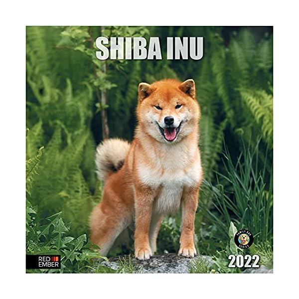 RED EMBER Shiba Inus Wandkalender 2022, zum Aufhängen, 30,5 x 61 cm, geöffnetes dickes und stabiles Papier, Geschenk…