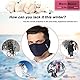 Halbe Gesichtsmaske Ski-Maske Windschutz-Mundmaske Winterwärmer-Staubmaske mit Ohrenschützern für Erwachsene einstellbar für Motorrad, Radfahren, Skifahren, Snowboard, Wandern, Outdoor-Aktivitäten