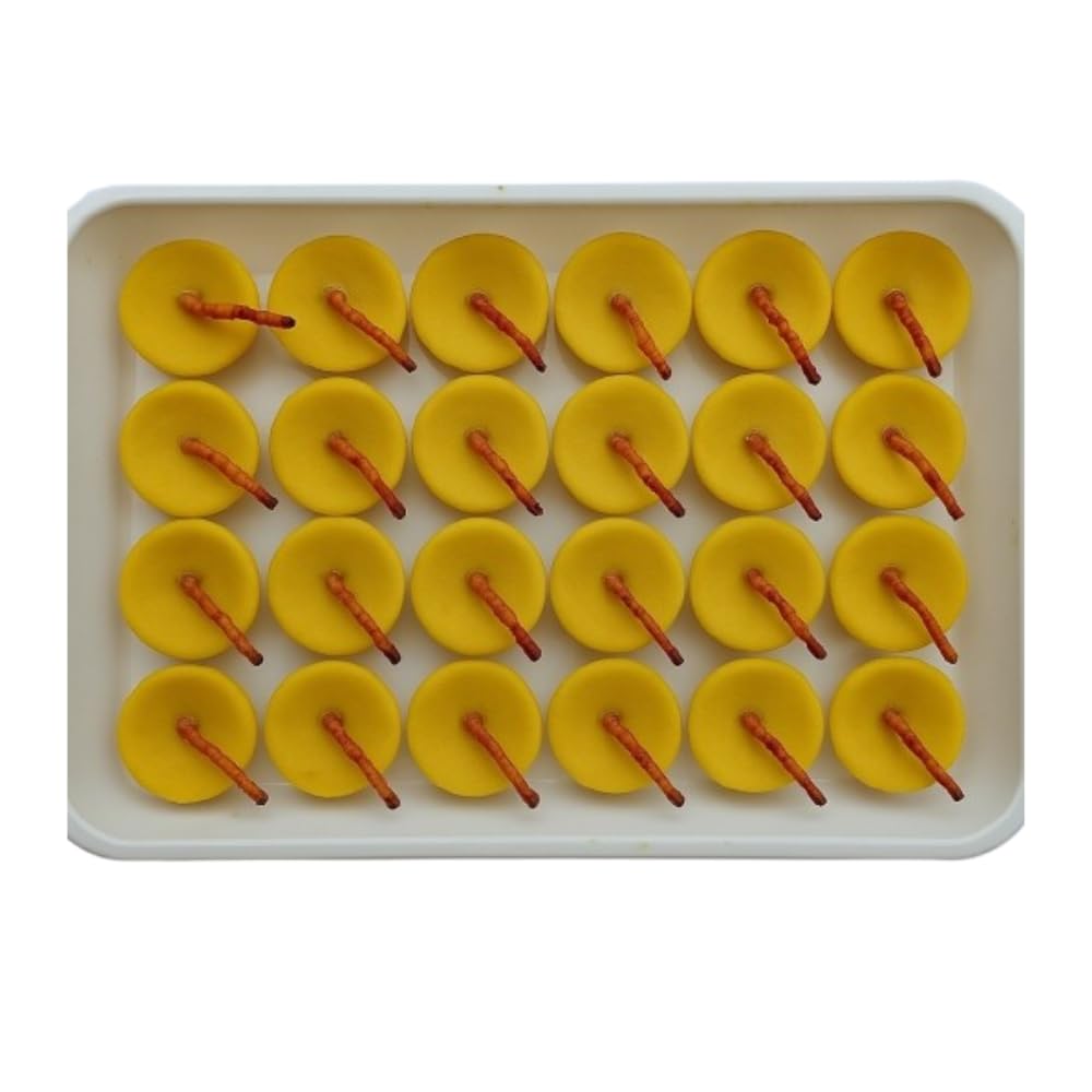 PUJA GHEE Cotton Wicks 24 nos Packed in A Plastic Container-image-26