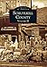 Schuylkill County: Volume II (Images of America)