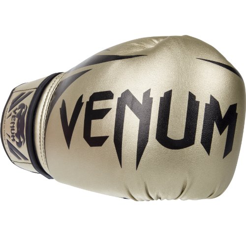 Image of Venum Challenger Boxing Gloves