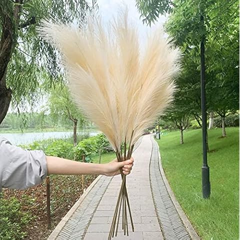 Bundle of 5 Natural Dried flowers Faux Pampas Grass Decor, 43"/110cm (Beige Color) Fake Artificial Grass Decor Tall Fluffy Stems, Floor Vase Filler for Living Room, Kitchen Decor or Boho Decor (Beige) Cover