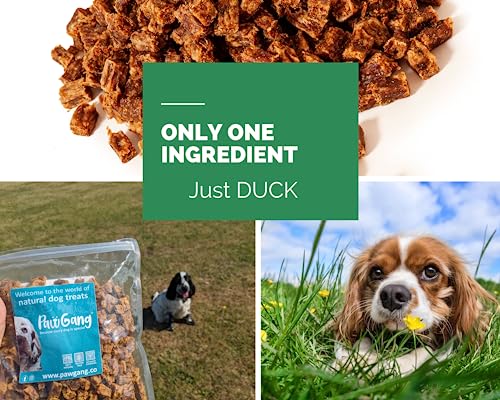 PawGang, Duck Meaty Cubes 200g, Natural Training Treats for Dogs: Puppies Young Adult Old Small Large Dog - Image 4