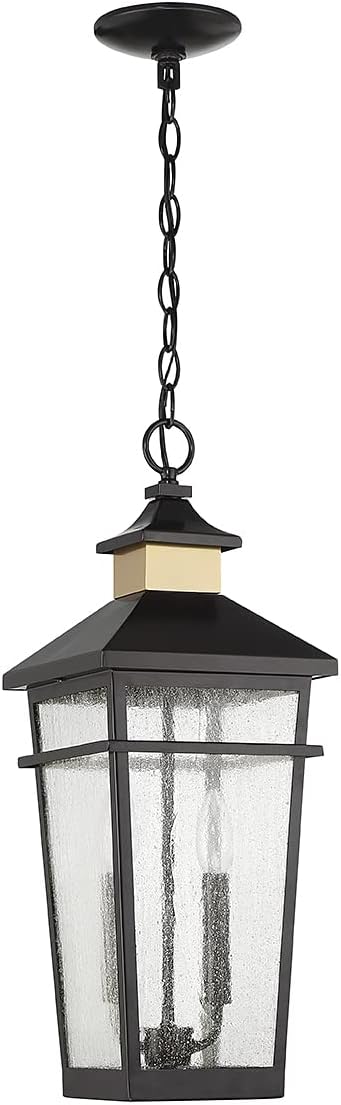Savoy House 5-717-143 Kingsley Coastal Modern Clear Seeded Glass Outdoor Hanging Lantern, 2-Light 80 Total Watts, 23" H x 9" W, Matte Black with Warm Brass