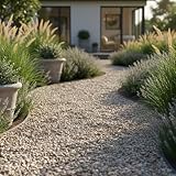 FORTUNATO B0FKBQDQMQ lato 4