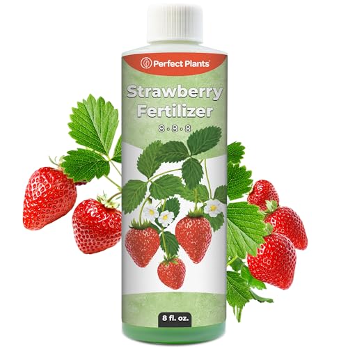 Perfect Plants Strawberry Fertilizer
