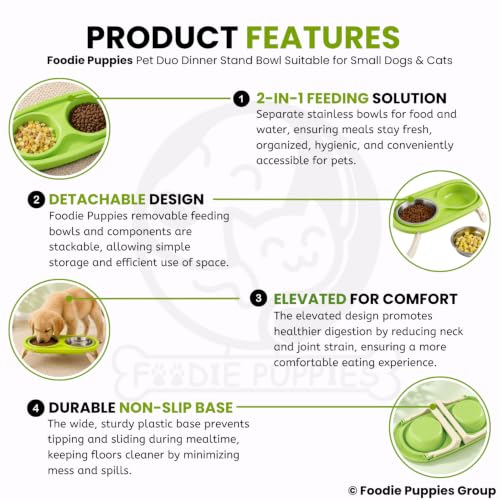 Image of Foodie Puppies Pet Duo Dinner Stand Stainless Steel Bowl - (Green) | Foldable Stand Bowl for Food & Water, Suitable for Cats, Puppies & Small Dogs | Elevated Feeding Station