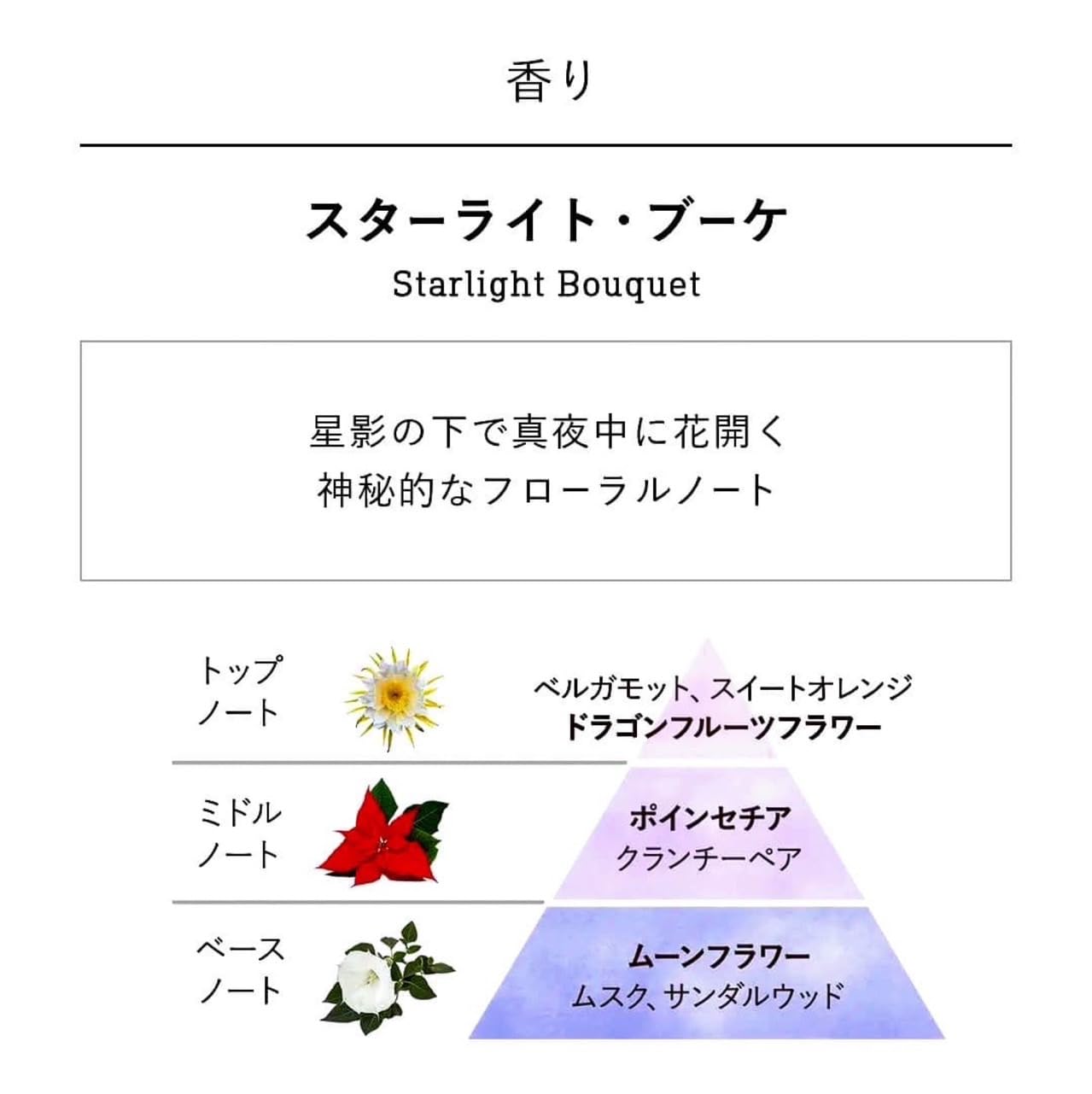 Amazon.co.jp: SABON サボン アドベントカレンダー 2023 : 食品