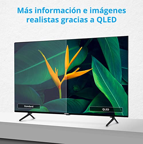 MEDION-X15027-Television-QLED-de-1257-cm-50-Pulgadas-Android-TV-UHD-Smart-TV-4K-Ultra-HD-Dolby-Vision-HDR-Micro-Dimming-Netflix-Prime-Video-DTS-PVR-Bluetooth