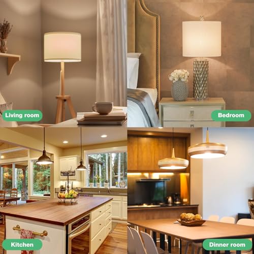 Image of DEGNJU LED Light Bulbs 60W Equivalent, A19 Light Bulb Soft White 2700K 800LM 8 Watt, Non-Dimmable Standard Light Bulbs E26 Medium Base, 24 Pack