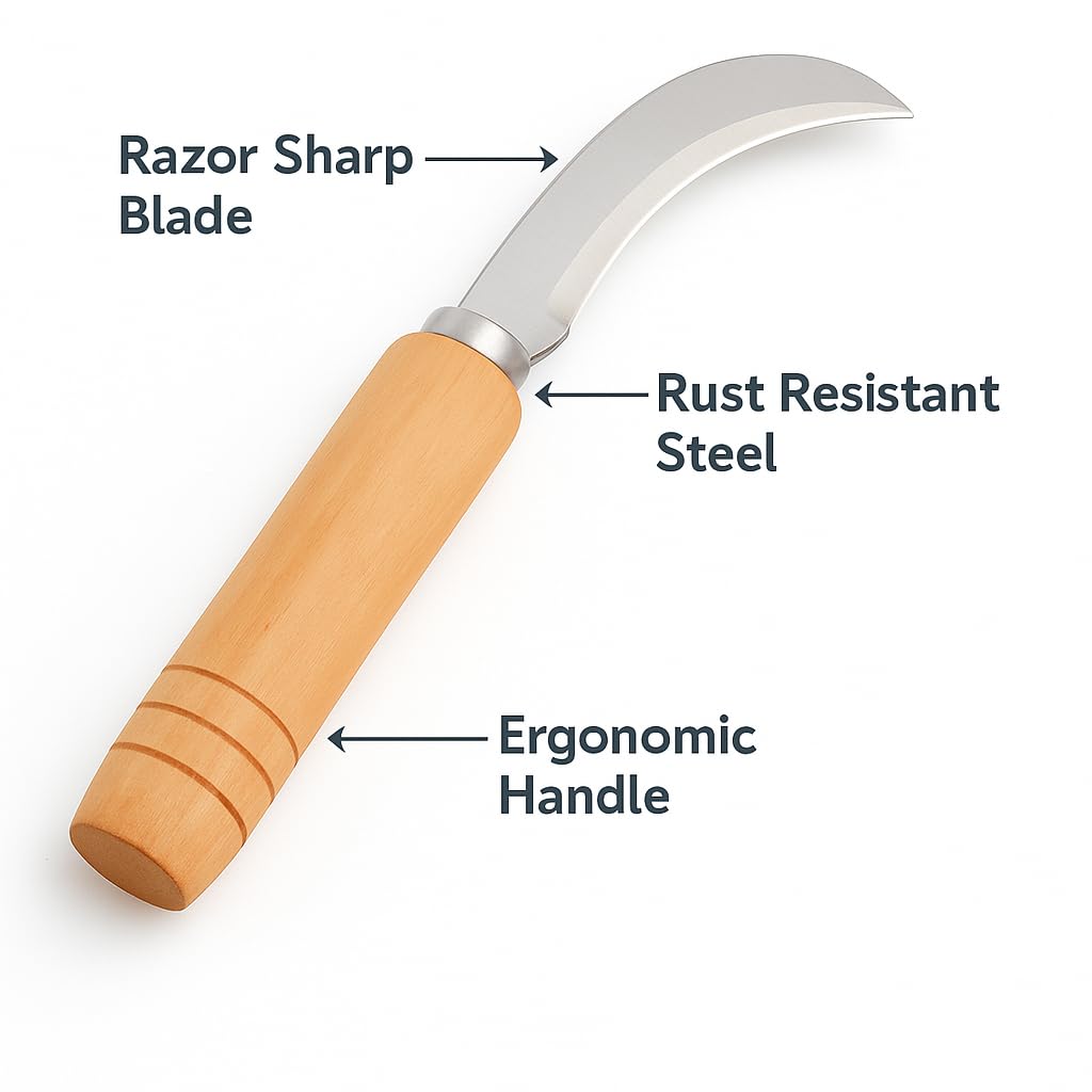 Marmik Curved Knife - Stainless Steel Fruit & Veg Prep -4