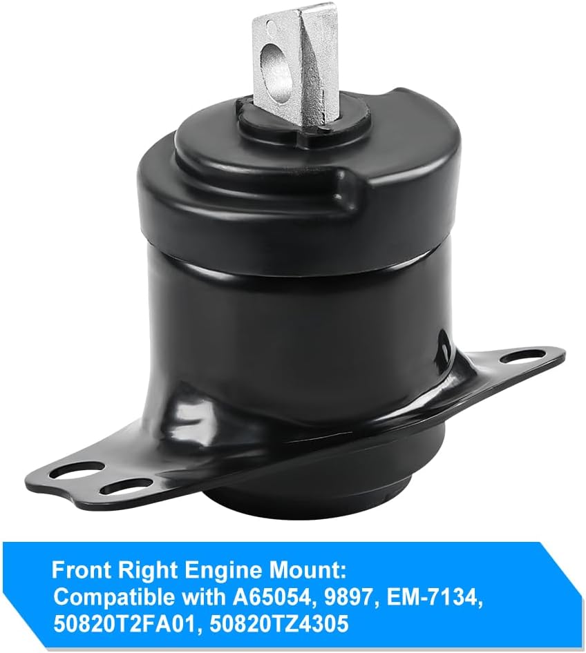 JDMON 1Pcs Front Right Engine Motor Mount Replacement for Honda Accord 2.4L 2013-2017, Acura TLX 2015-2018, Compatible with A65054, 9897, EM-7134, 50820T2FA01, 50820TZ4305