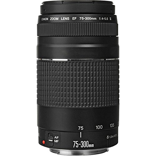 【B2177】 CANON EOS KISS X / 75-300 4-5.6 Canon EF 75-300mm f/4-5.6 III Lens for Canon EOS Rebel SL1, 100D, T2I,