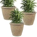 Sunnydaze 24-Inch Anjelica Large Plastic Pot for Plants - Outdoor Double-Walled Large Plastic Planter with Drillable Drainage Holes - Beige - 3pk