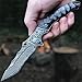 TACTICAL GEARZ Damascus Steel Pocket Knife, Ebony/Steel Handle, Includes Custom Leather Sheath (DXT79)