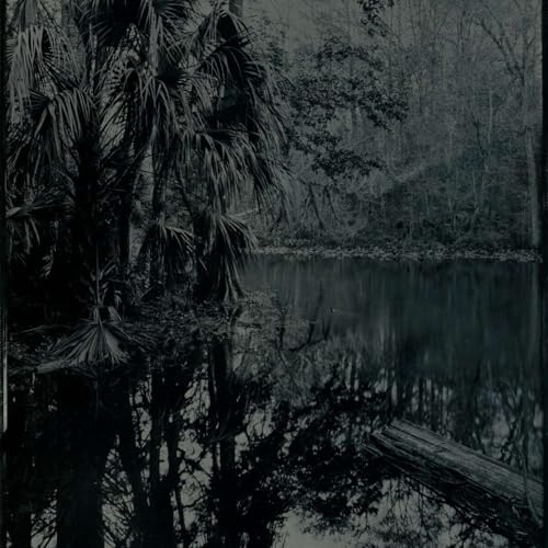Episode 224: Echoes of the Wild, Matt Keene, and Florida Photography Not Often Seen