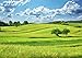 BELECO 5x3ft Fabric Spring Green Hills Meadow Backdrop Green Grass Lawn Trees Blue Sky White Clouds Photography Background Outdoor Nature Scenery Easter Decor Kid Baby Portrait Photo Studio Props