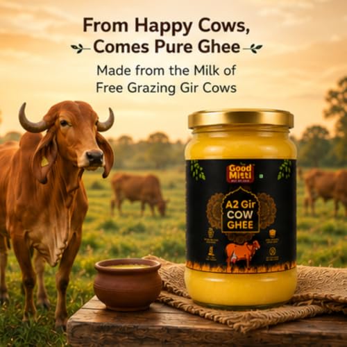 Image of Good Mitti A2 Gir Cow Ghee 500 ML | Traditional Bilona Method Cultured Desi Ghee | Grass Fed Pure Cow Ghee | Lab Tested, Natural & Healthy | Rich Aroma | Healthy Cooking Cow Ghee | Glass Jar | Indian Gir Cow Ghee