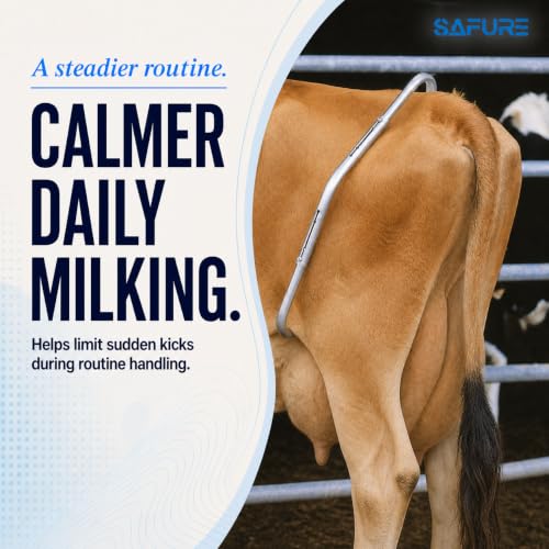 SAFURE Cow Anti-Kick Bar KB-001-SS - Image 7