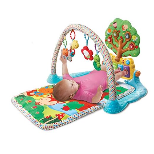 Vtech- Amigos En El Parque Manta de Juego Y Gimnasio Infantil, Multicolor, Talla Única (3480-190622) , color/modelo surtido