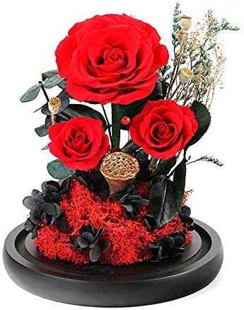 プリザーブドフラワー 彼女のためにバラの花手作り決して枯れたバラ 魅惑のバラ バレンタインパーティーギフト ウェディングギフト 最高の贈り物を保存 永遠の花 Color Red Size Free Size B0yrdxrk 6 052円