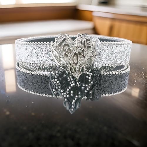 Punk Waist Belly Chain Belt For Women Men For Street Dance Prom Hip Hop Rock Music PU Belt Jean Glinting Buckle4