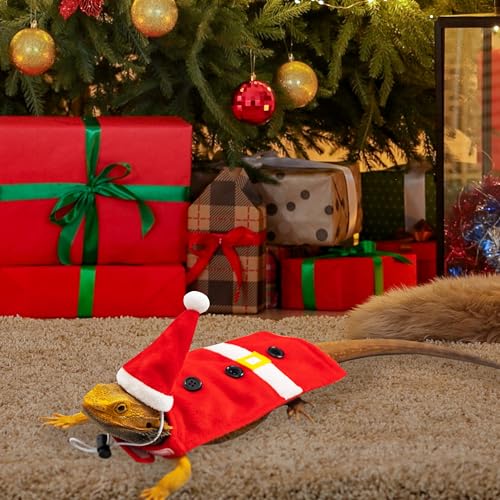 TUKOAW Fantasia de dragão barbudo de Natal, lindo Papai Noel vermelho cosplay conjunto de roupas de