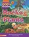 Rocks and Plants (God's Creation Series) Book 3