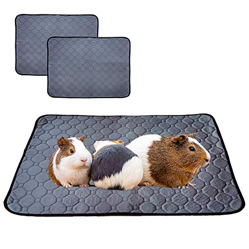 LWYMX Guinea Pig Fleece Cage Liners, Guinea Pig Pee Pad Washable and Reusable 2 Pack, Guinea Pig Bedding with Anti Slip Bottom, Pet Pee Pad with Super Absorption and Odor Control for Small Animals.