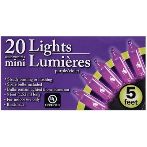 Greenbrier International Purple Halloween Mini Lights with Black Wire 20 Count 5 feet Cover