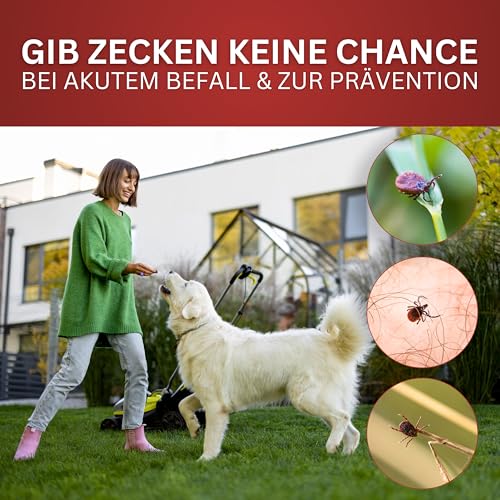 BIODELTA Zeckenspray - Zecken effektiv bekämpfen - Anti-Zecken-Spray für Outdoor-Aktivitäten - Zeckenschutz Spray mit Langzeitschutz - Ideal für Wandern, Camping & Garten (500 ml) (39,90 Euro/L)