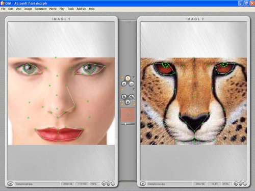Abrosoft Fantamorph Deluxe [Download] thumb #2
