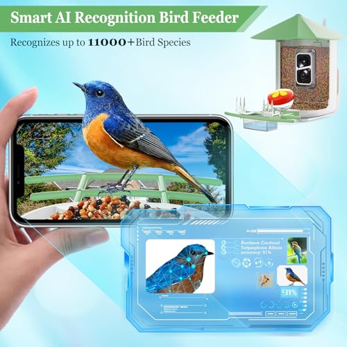 Careboda-Smart-Bird-Feeder-Camera-with-Automatic-Bird-Video-Capture-and-Motion-Detection-Indoor-Bird-Camera-Wild-Birding-Camera-with-Solar-Power-for-Bird-Lovers-Green Careboda Smart Bird Feeder Camera with Automatic Bird Video Capture and Motion Detection Indoor Bird Camera Wild Birding Camera with Solar Power for Bird Lovers Green