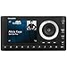 SiriusXM(R) XPL1H1 Onyx Plus with Home Kit